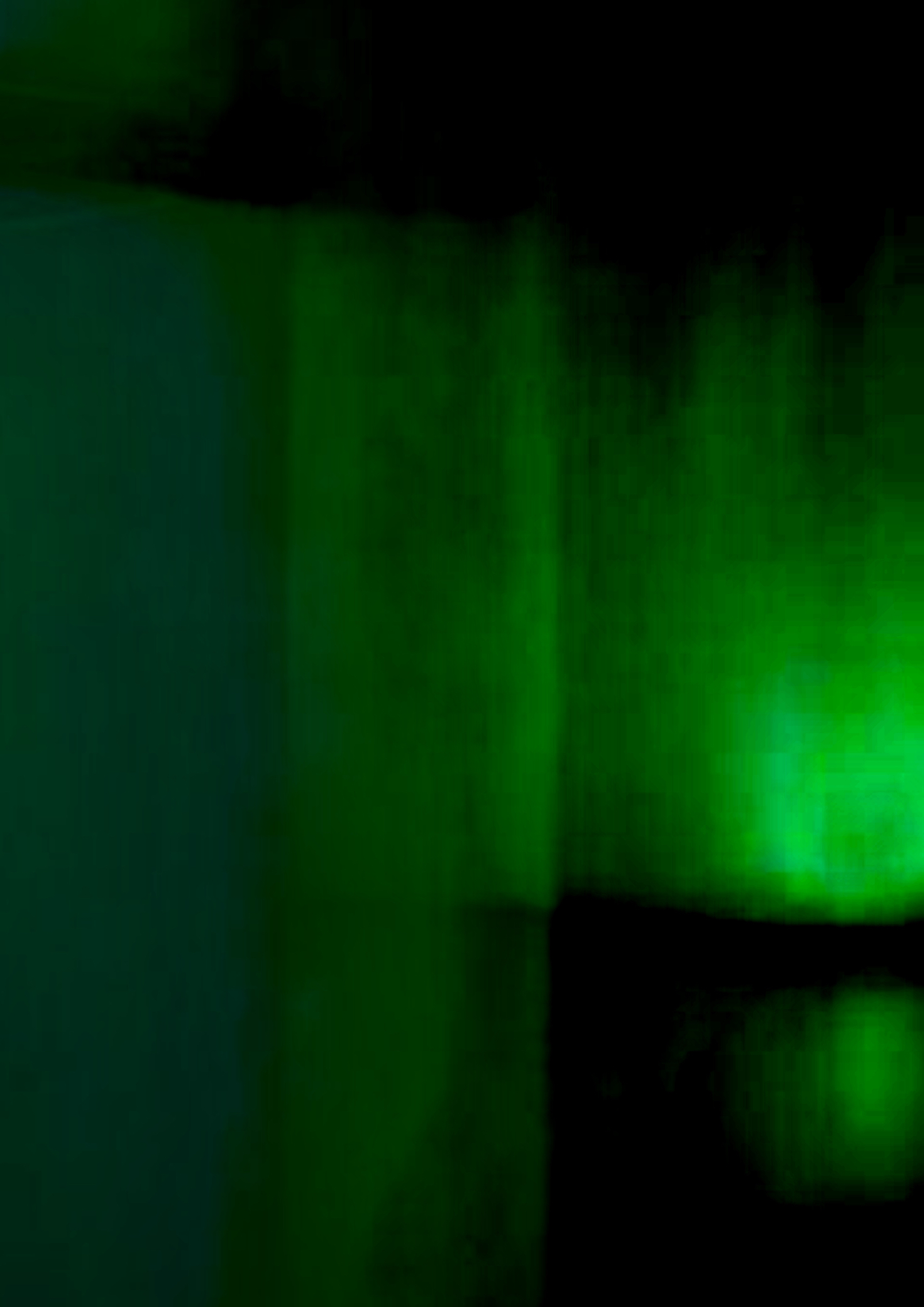 Computer Club — Coming Soon